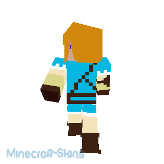 Link (pour tromper ses adversaires)