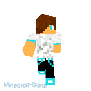 Le Skin de tity49