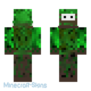 Aperçu de la skin Minecraft