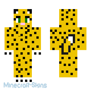 Aperçu de la skin Minecraft