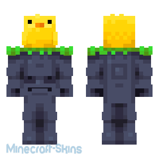 Aperçu de la skin Minecraft