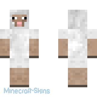 Aperçu de la skin Minecraft