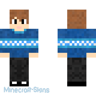 Aperçu de la skin Minecraft