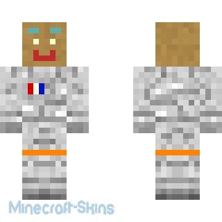 Aperçu de la skin Minecraft