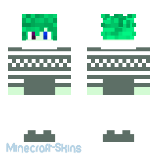 Aperçu de la skin Minecraft