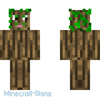 Aperçu de la skin Minecraft