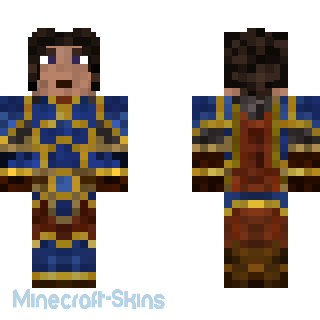 Aperçu de la skin Minecraft