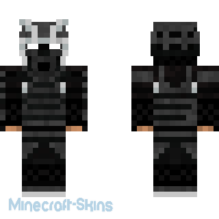 Aperçu de la skin Minecraft