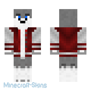 Aperçu de la skin Minecraft