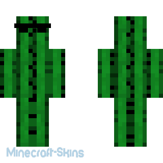 Aperçu de la skin Minecraft