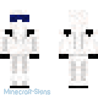 Aperçu de la skin Minecraft