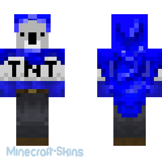 Aperçu de la skin Minecraft