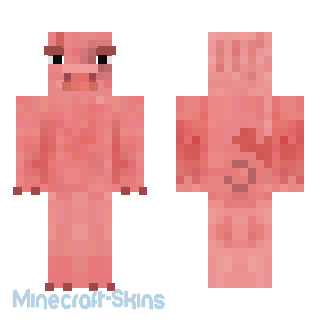 Aperçu de la skin Minecraft