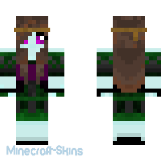 Aperçu de la skin Minecraft