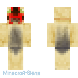 Aperçu de la skin Minecraft