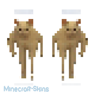 Aperçu de la skin Minecraft