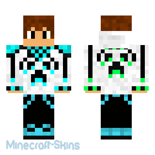 Aperçu de la skin Minecraft