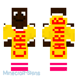 Aperçu de la skin Minecraft