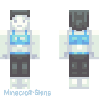 Aperçu de la skin Minecraft