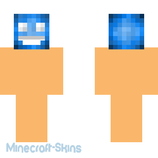 Aperçu de la skin Minecraft