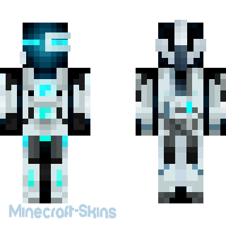 Aperçu de la skin Minecraft