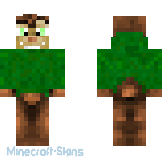 Aperçu de la skin Minecraft