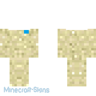 Aperçu de la skin Minecraft