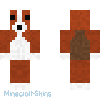 Aperçu de la skin Minecraft