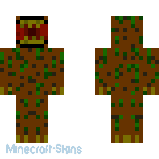 Aperçu de la skin Minecraft