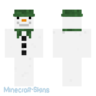 Aperçu de la skin Minecraft