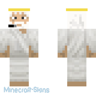 Aperçu de la skin Minecraft