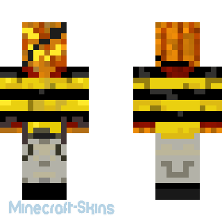 Aperçu de la skin Minecraft