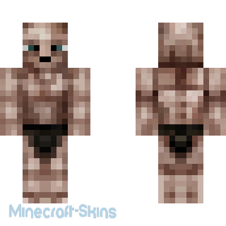 Aperçu de la skin Minecraft