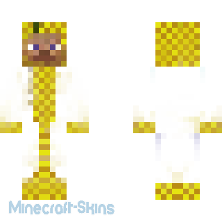 Aperçu de la skin Minecraft