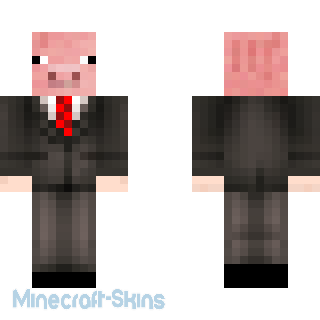 Aperçu de la skin Minecraft