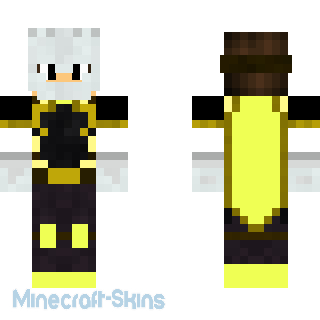 Aperçu de la skin Minecraft