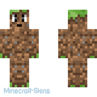 Aperçu de la skin Minecraft