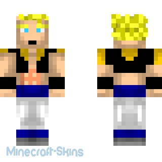 Aperçu de la skin Minecraft