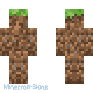 Aperçu de la skin Minecraft