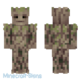 Aperçu de la skin Minecraft