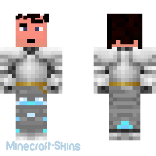 Aperçu de la skin Minecraft