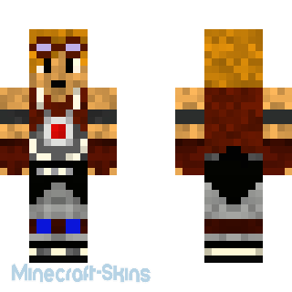 Aperçu de la skin Minecraft