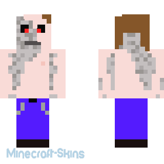 Aperçu de la skin Minecraft