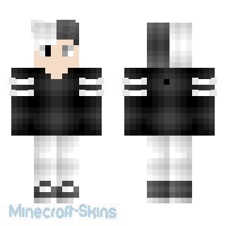 Aperçu de la skin Minecraft