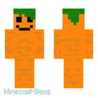 Aperçu de la skin Minecraft