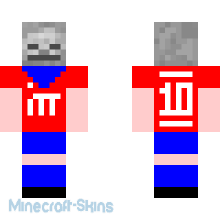 Aperçu de la skin Minecraft