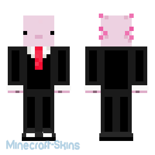 Aperçu de la skin Minecraft