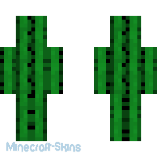 Aperçu de la skin Minecraft