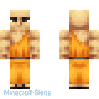 Aperçu de la skin Minecraft