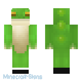 Aperçu de la skin Minecraft